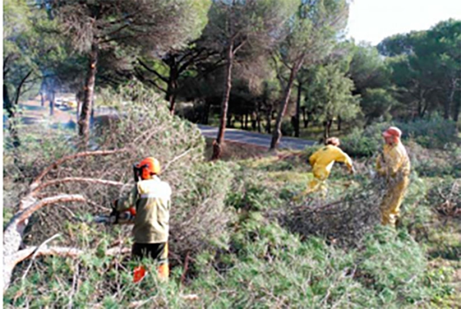 San Martín de Valdeiglesias | La Comunidad realizará trabajos de limpieza en fincas cercanas a núcleos urbanos