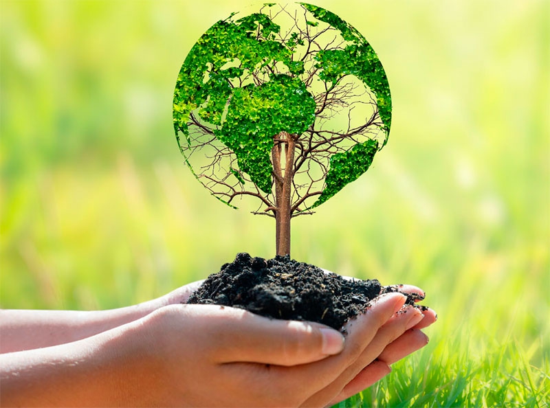 Majadahonda | Majadahonda organiza una jornada festiva, con talleres y espectáculos, para celebrar el Día Mundial del Medio Ambiente