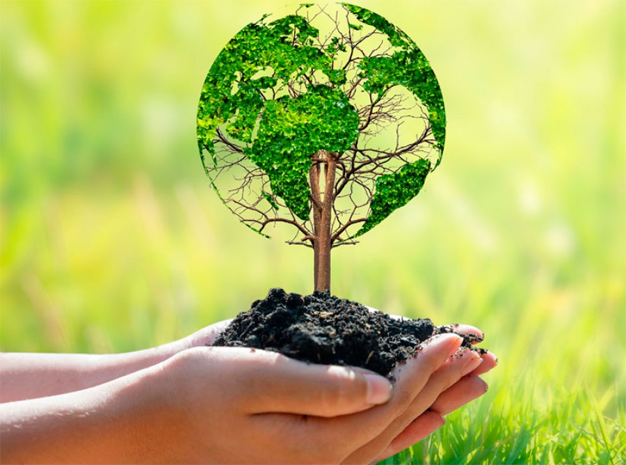 Majadahonda | Majadahonda organiza una jornada festiva, con talleres y espectáculos, para celebrar el Día Mundial del Medio Ambiente