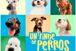 Torrelodones | Torrelodones se prepara para vivir un “Finde de perros”