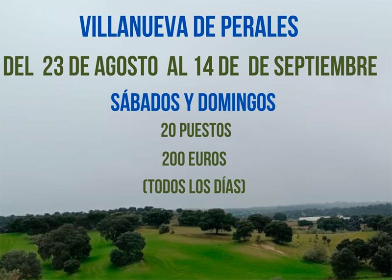 Foto archivo: leguadevillanuevadeperales.com