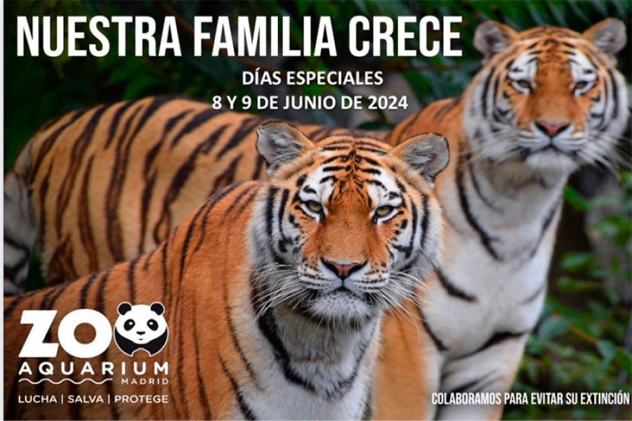 Boadilla del Monte | Zoo Aquarium ofrece precios especiales a los empadronados en Boadilla el próximo fin de semana