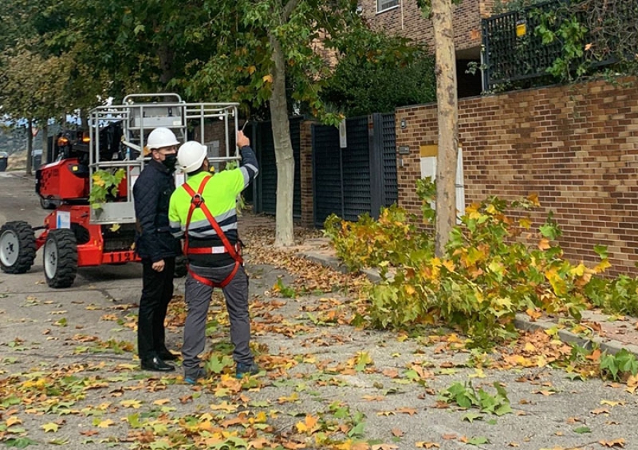 Villanueva del Pardillo | Continúan los trabajos de poda en puntos localizados del municipio