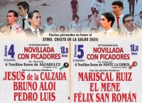 El Álamo | Gran participación en las Fiestas en honor al Santísimo Cristo de la Salud de El Álamo