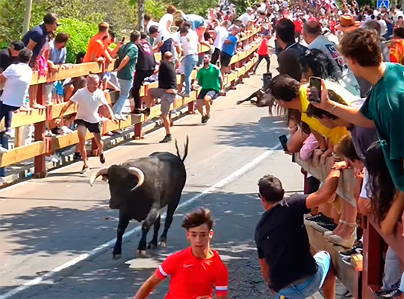 Collado Mediano | Del 20 al 25 de agosto, Collado Mediano celebró sus Fiestas Patronales en honor al Santísimo Cristo de la Caridad