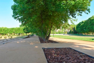 Villaviciosa de Odón | La primera fase de las obras de remodelación del Jardín Histórico mejoran el aspecto de esta zona emblemática del municipio