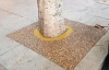 Villaviciosa de Odón | El Ayuntamiento instala pavimento de caucho y grava en alcorques