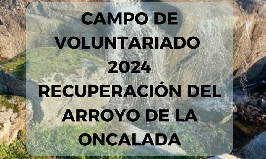 Chapinería | II Edición del Campo de Voluntariado Medioambiental