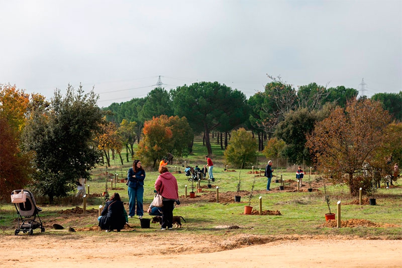 Pozuelo de Alarcón | Cerca de 200 niños nacidos en 2022 y 2023 tienen un árbol con su nombre en el Parque Forestal Adolfo Suárez