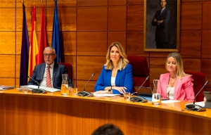 Pozuelo de Alarcón | Paloma Tejero anuncia el I Plan de Vivienda para Familias Numerosas de Pozuelo de Alarcón