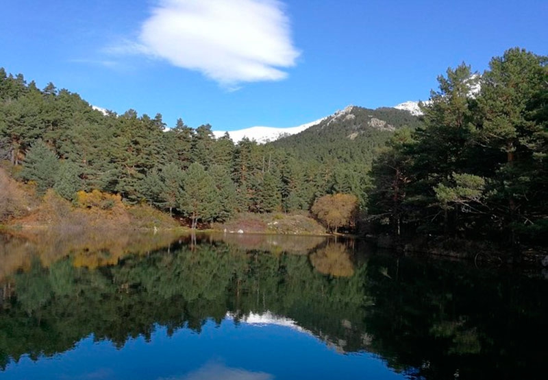 Becerril de la Sierra | Becerril de la Sierra en FITUR 2025, Destino: Sierra de Guadarrama