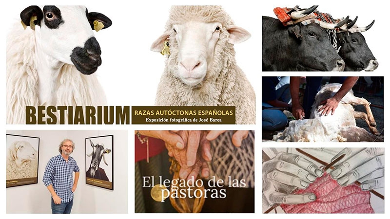 San Lorenzo de El Escorial | Homenaje al mundo rural con un fin de semana de charlas, exposiciones, talleres… y mucho más