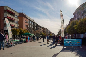 Las Rozas | MADCUP 2025, este fin de semana en Las Rozas