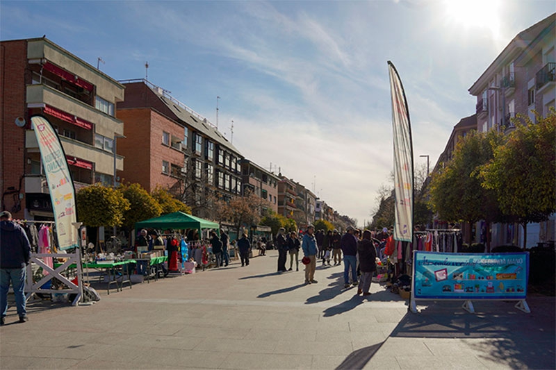 Las Rozas | MADCUP 2025, este fin de semana en Las Rozas