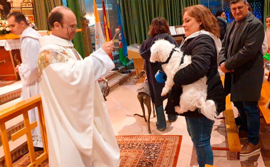 Aldea del Fresno | Aldea del Fresno celebró su tradicional Fiesta de San Antón