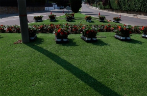 Boadilla del Monte |  El Ayuntamiento planta más de 20.000 flores de temporada esta primavera