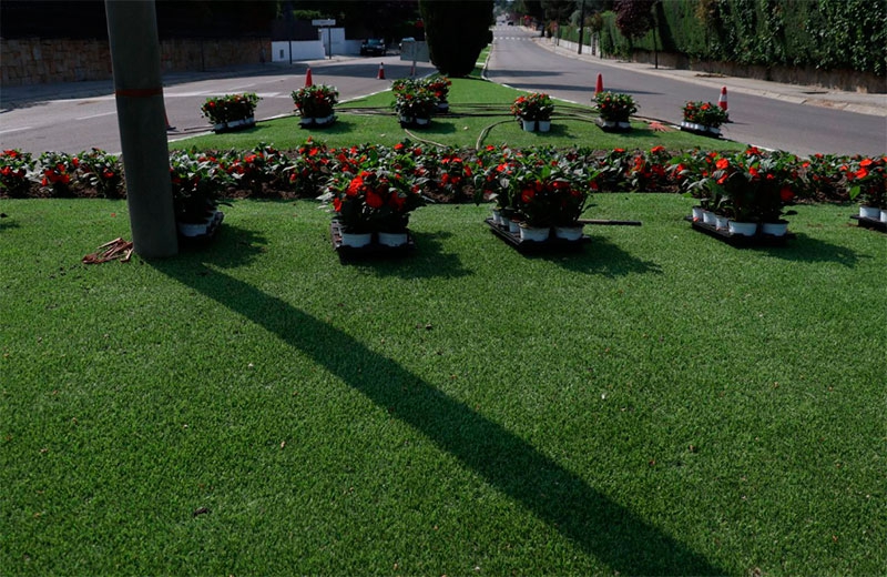 Boadilla del Monte | El Ayuntamiento planta más de 20.000 flores de temporada esta primavera