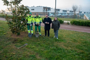 Boadilla del Monte | Campaña municipal de plantación de mil árboles en parques y calles del municipio