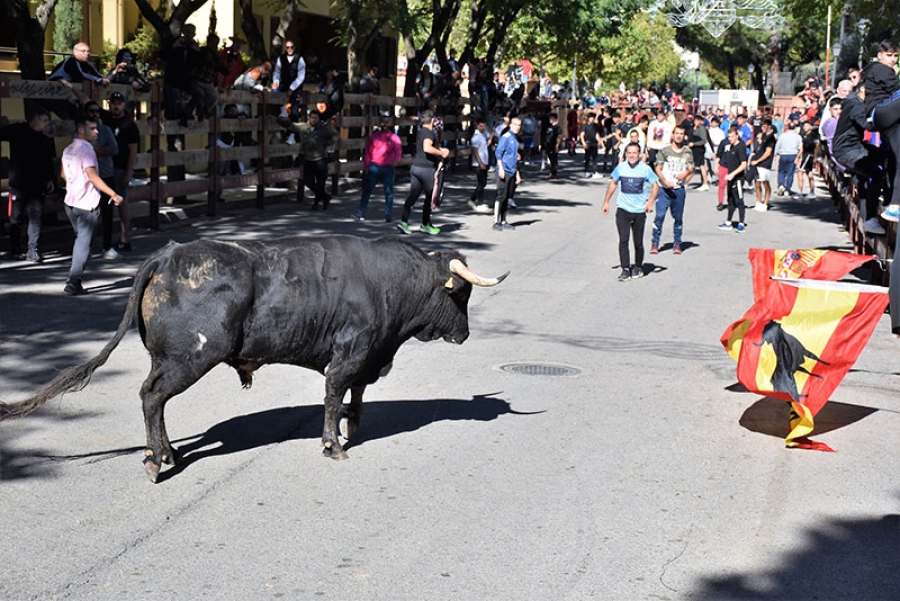 Villaviciosa de Odón | Villaviciosa de Odón se prepara para vivir un intenso programa de Fiestas entre los días 13 y 22 de septiembre