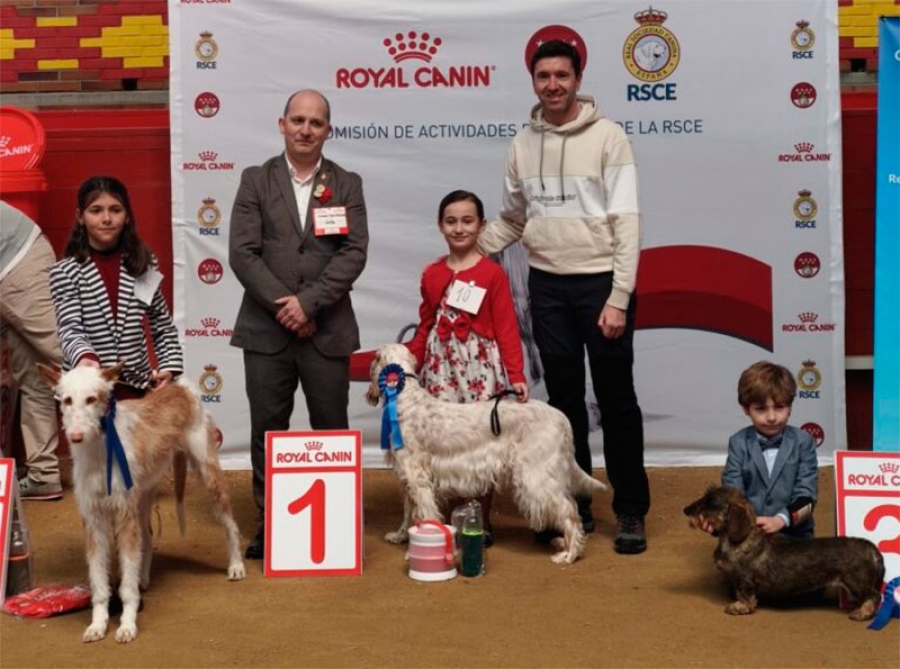 Valdemorillo | Un precioso Papillon, Best in Show y mejor ejemplar del XXIII Concurso Nacional Canino de Valdemorillo