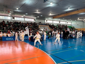 Collado Mediano | Celebrada la clasificatoria de Kárate de la Comunidad de Madrid en el Polideportivo de Collado Mediano