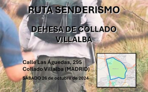 Torrelodones | Ganas de caminar y ganas de jugar, actividades físico-deportivas para mayores de 65 años