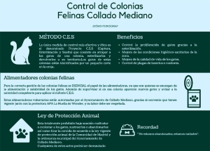 Collado Mediano | El Ayuntamiento lanza un control de colonias felinas