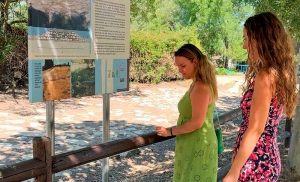Galapagar | Avanzan los trabajos de recuperación medioambiental de la calzada romana de Galapagar