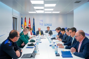 Las Rozas | El Plan de Seguridad para las Fiestas de Las Matas contará con más de 30 agentes especiales