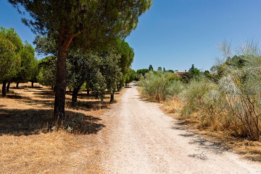 Boadilla del Monte | Boadilla licita la construcción y reforma de 11 kilómetros de sendas y carril bici