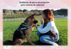 Valdemorillo | Una exhibición de perros de protección para víctimas de violencia, entre los actos programados en torno al 25N