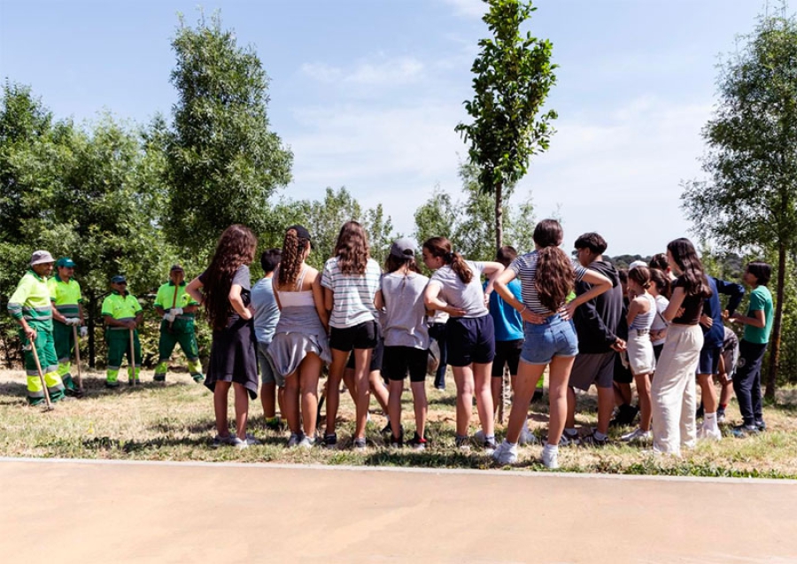 Boadilla del Monte | Alumnos del CEIPSO Príncipe D. Felipe plantan 22 ejemplares de laurel en la senda del Pilar
