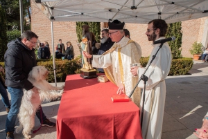 Boadilla del Monte |  La bendición de mascotas por San Antón se realizará el próximo sábado en la iglesia del Antiguo Convento