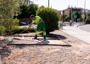 Boadilla del Monte | El Ayuntamiento mejora las medianas entre carretera de Majadahonda y el jardín de olivos de la calle Isabel II