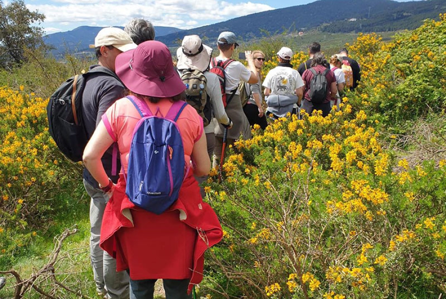 Los Molinos | Todo preparado para disfrutar del “Festival del Cambroño” en Los Molinos, con deporte, rutas, conciertos, feria de la cerveza artesana… y mucho más