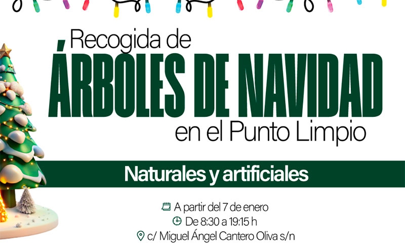 Boadilla del Monte | Los árboles de Navidad que se retiren se pueden depositar a partir de hoy en el Punto Limpio