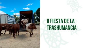 Galapagar | Galapagar se prepara para su II Fiesta de la Trashumancia