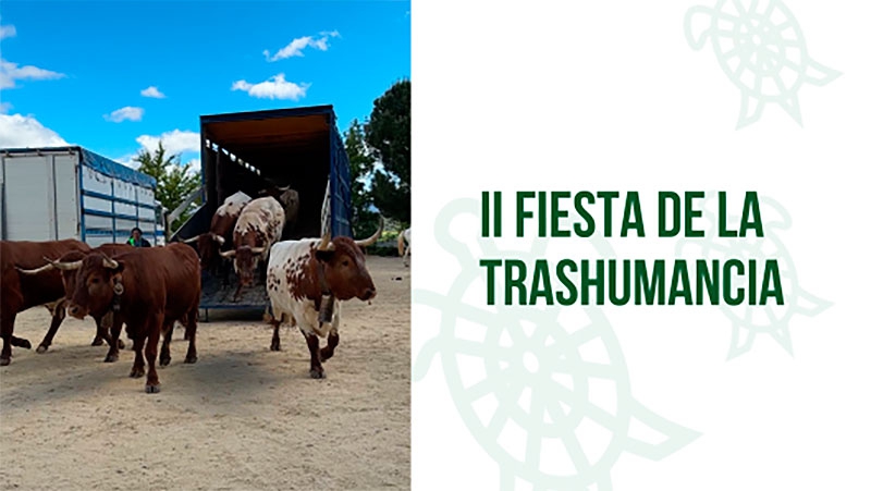 Galapagar | Galapagar se prepara para su II Fiesta de la Trashumancia
