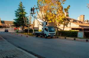 Boadilla del Monte | Comienza el plan anual de poda sobre 5200 árboles en distintas zonas de Boadilla