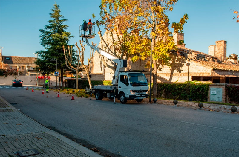 Boadilla del Monte | Comienza el plan anual de poda sobre 5200 árboles en distintas zonas de Boadilla