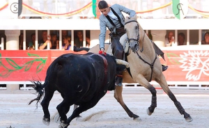 San Martín de Valdeiglesias | Actividades populares, grandes festejos taurinos y tradición en Fiestas Patronales de San Martín de Valdeiglesias