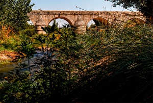 Las Rozas | Las Rozas obtiene el reconocimiento “Sendero Azul”, el primero que se consigue en la Comunidad de Madrid