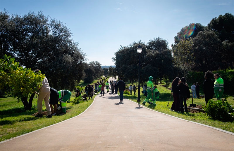 Boadilla del Monte | Un centenar de nuevos árboles refuerzan la senda verde entre el parque del Pilar y la Casa de Aves