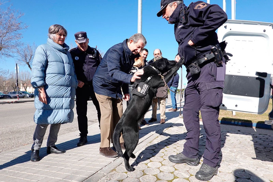 Villanueva de la Cañada | La Policía Local cuenta con un nuevo agente canino