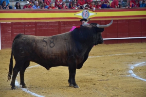 Cenicientos | La Feria Taurina 2023 de Cenicientos se celebrará como está establecida en su agenda de fiestas