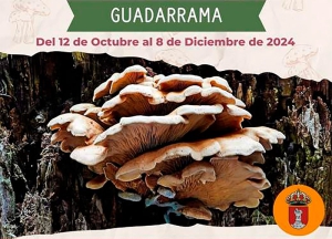 Guadarrama | Este fin de semana comienzan los talleres micológicos promovidos por la Concejalía de Turismo