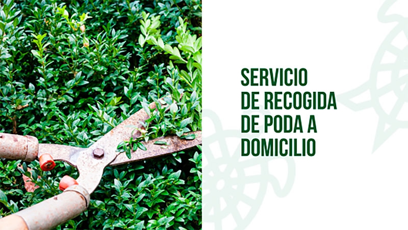 Galapagar | El Servicio Domiciliario de Recogida de Poda gana usuarios en Galapagar