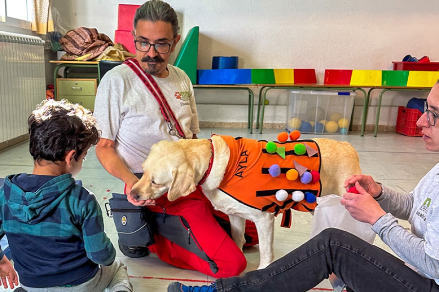 Galapagar | Galapagar lleva la intervención asistida con perros en aulas TEA a los 4 centros públicos de la localidad