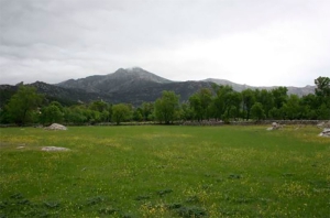 Becerril de la Sierra | Información sobre el período de caza 2025/2026 en Becerril de la Sierra