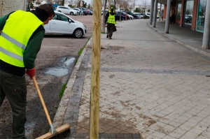 Arroyomolinos | Arroyomolinos amplía su plan del arbolado con la plantación de otros 733 ejemplares